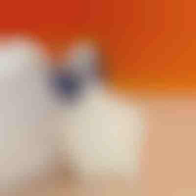 Polštářek na patu pro snížení bolesti paty | STEPHEEL